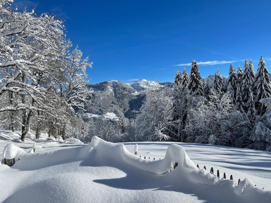 Mégevette Chalet Alpage Proche Geneve מראה חיצוני תמונה