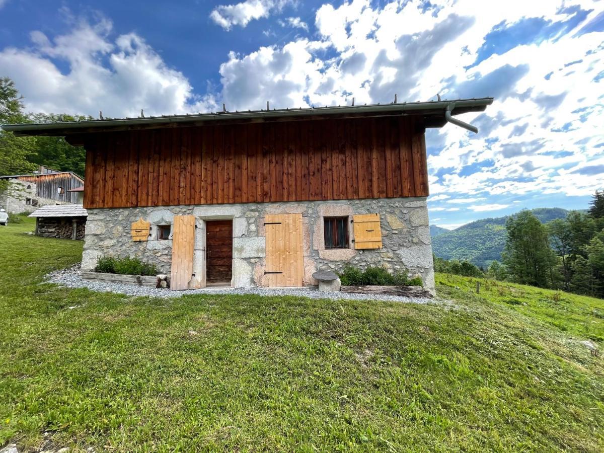 Mégevette Chalet Alpage Proche Geneve מראה חיצוני תמונה