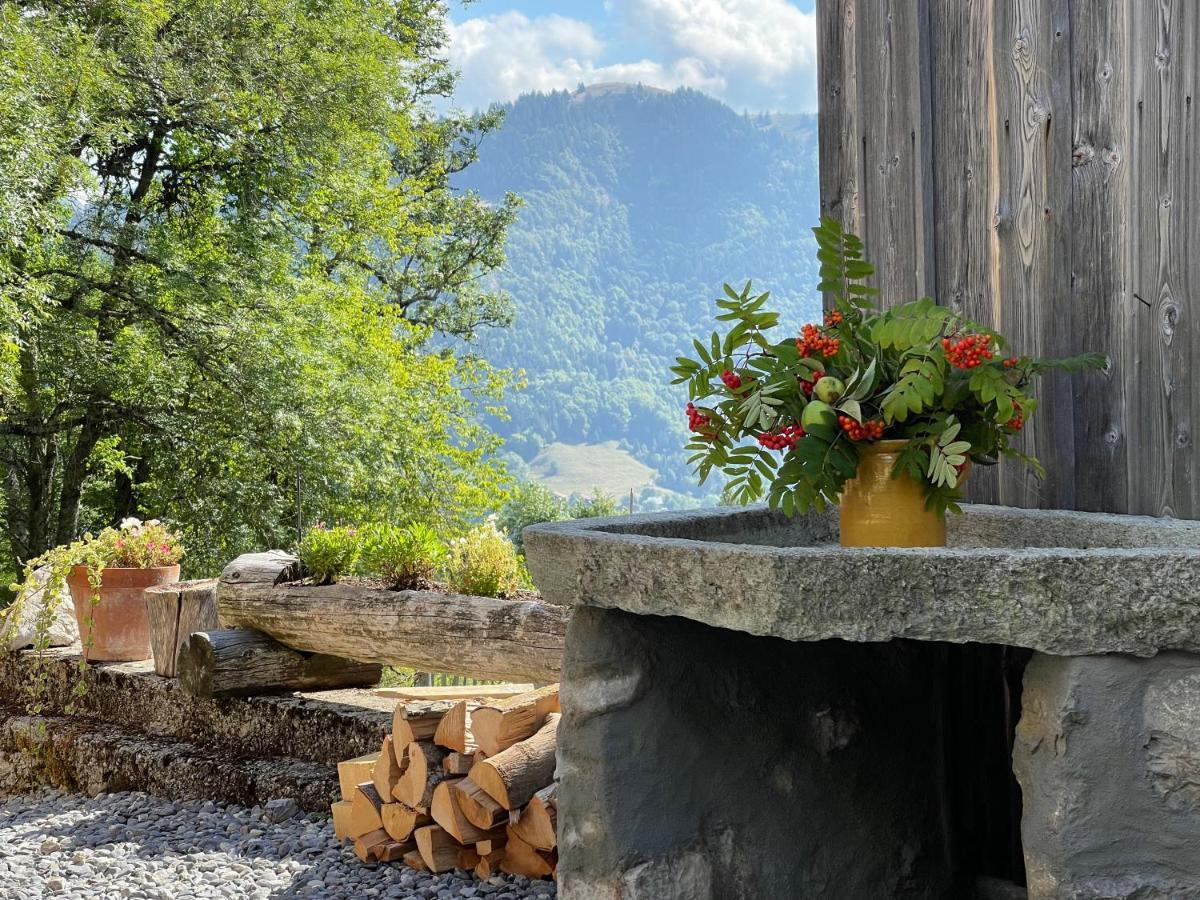 Mégevette Chalet Alpage Proche Geneve מראה חיצוני תמונה