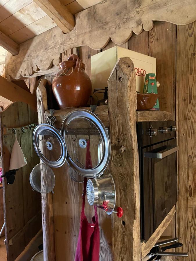 Mégevette Chalet Alpage Proche Geneve מראה חיצוני תמונה