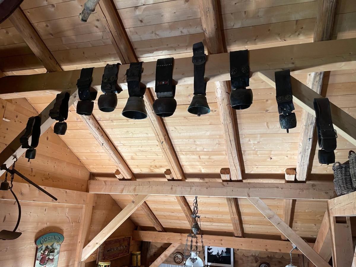 Mégevette Chalet Alpage Proche Geneve מראה חיצוני תמונה