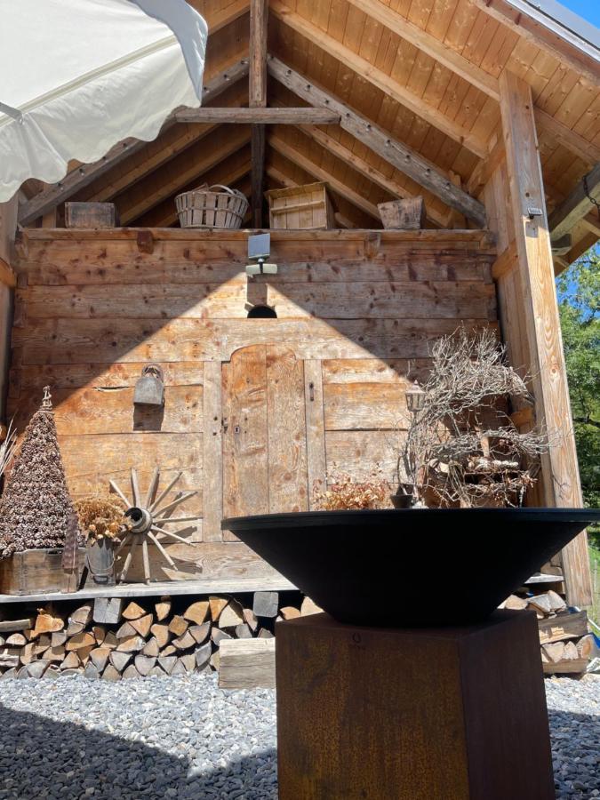 Mégevette Chalet Alpage Proche Geneve מראה חיצוני תמונה